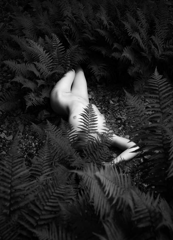 A monochrome fine art photograph by Tomas Rucker featuring a female figure partially submerged in a dense growth of ferns, emphasizing the organic connection between the human body and forest flora.