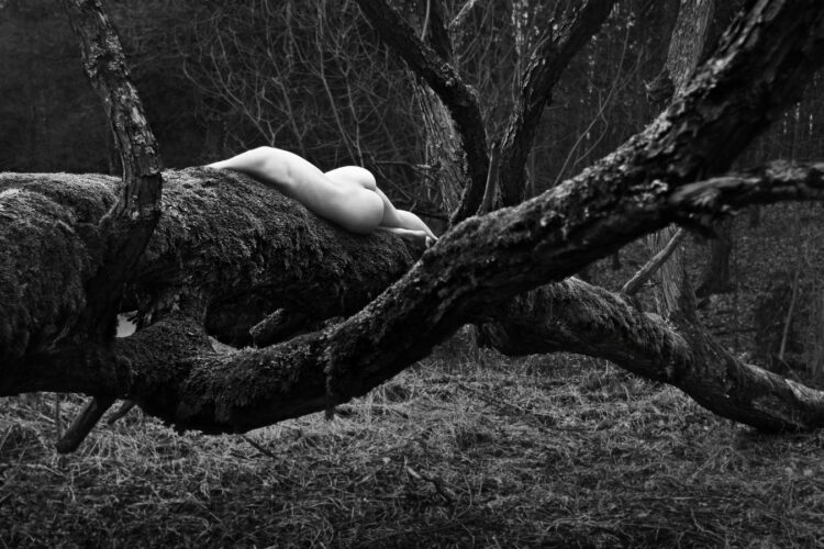 Forest Scenography: Organic Fusion of Body and Wood A poetic black and white image by Tomas Rucker capturing the quiet rest of a human silhouette on a massive, gnarled tree trunk.